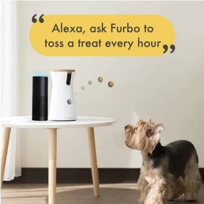 Furbo Alexa