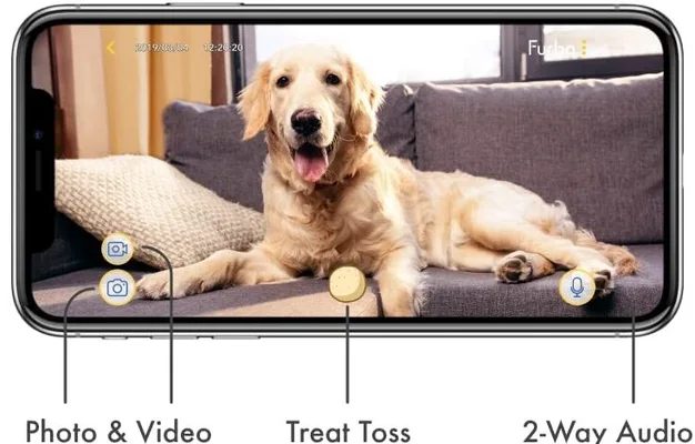 Furbo App