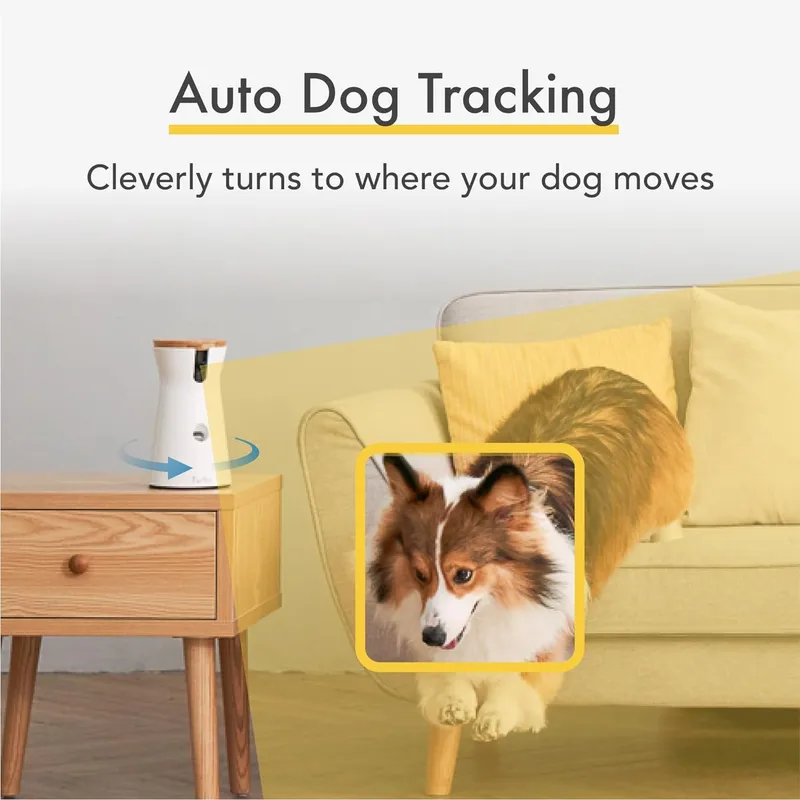 Furbo Tracking