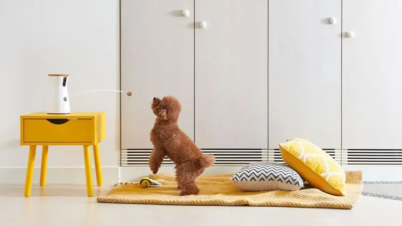Furbo Treat Tossing