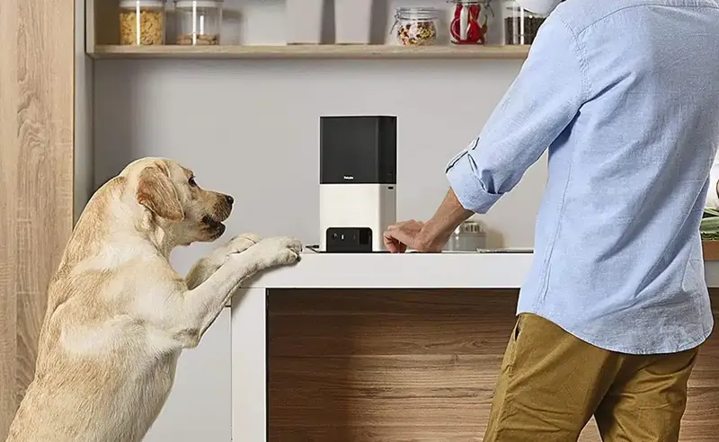 Petcube Bites 2
