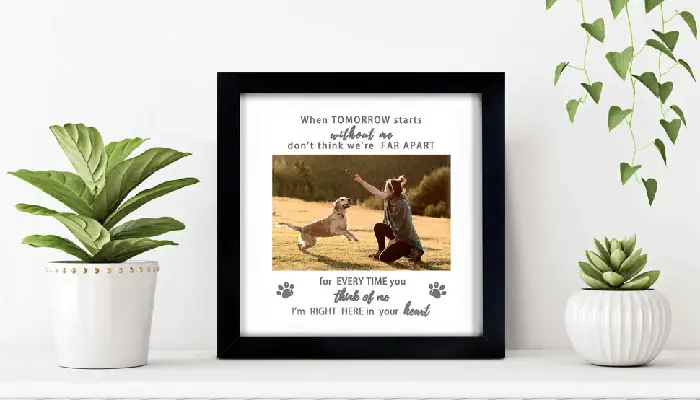 KCRasan Pet Memorial Frame