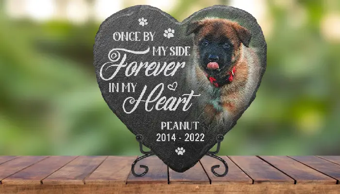 Pawfect House Pet Memorial Gift