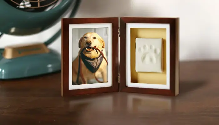 Pearhead Frame with Pawprint