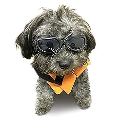 Enjoying Dog Sunglasses Small Breed Dogs Goggles