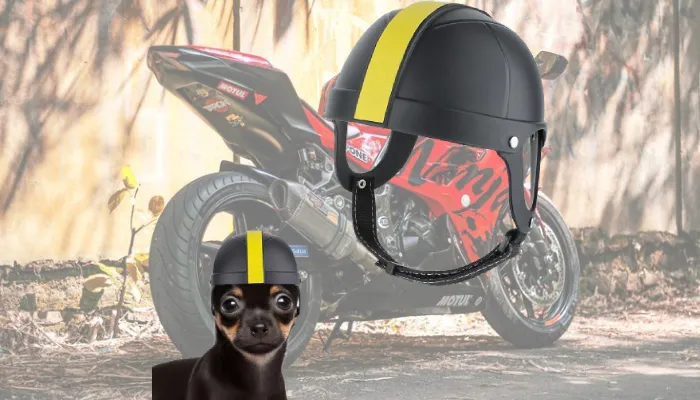 Namsan Dog Helmet for Small Breed