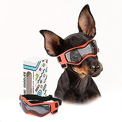 PETLESO Dog Goggles for Small Breed